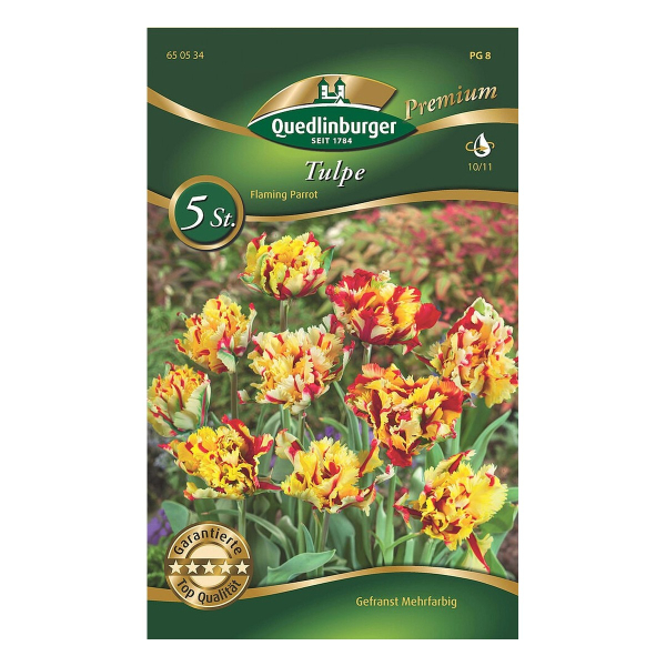 Tulpe Flaming Parrot mehrfarbig PREMIUM
