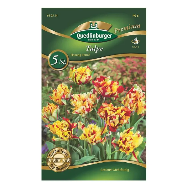Tulpe Flaming Parrot mehrfarbig PREMIUM