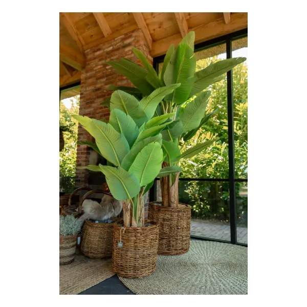 VAN DER LEEDEN Bananenbaum im Topf 150 cm - Kunstpflanze