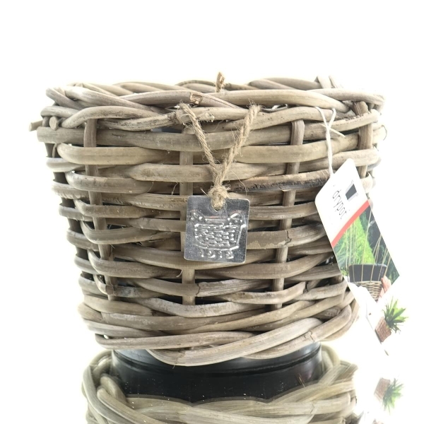 VAN DER LEEDEN DRYPOT® Rattan Pflanzgefäß Grau Ø ca. 20 cm - Sylter Körbe