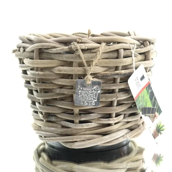 VAN DER LEEDEN DRYPOT® Rattan Pflanzgefäß Grau Ø ca. 20 cm - Sylter Körbe VAN DER LEEDEN DRYPOT® Rattan Pflanzgefäß Grau Ø ca. 20 cm - Sylter Körbe