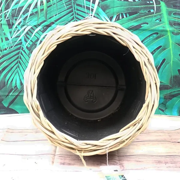 VAN DER LEEDEN DRYPOT® Rattan Pflanzkübel Grau Ø 40 cm - Sylter Körbe