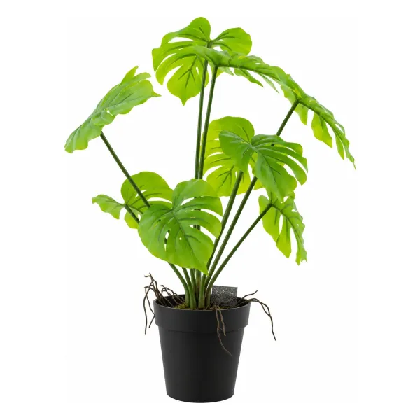 VAN DER LEEDEN Monstera im Topf 28 cm - Kunstpflanze