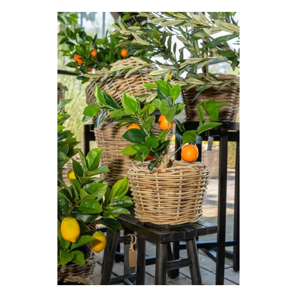 VAN DER LEEDEN Orangenbaum im Topf 50 cm - Kunstpflanze