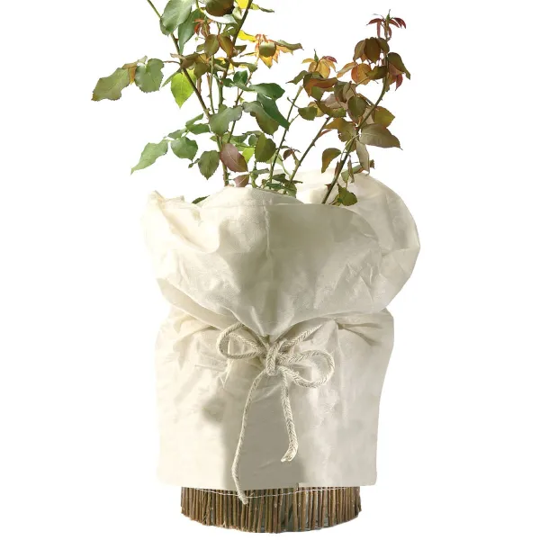 Videx® Pflanzen-Winterschutz-Topfschutzvlies Beige 600 x 50 cm