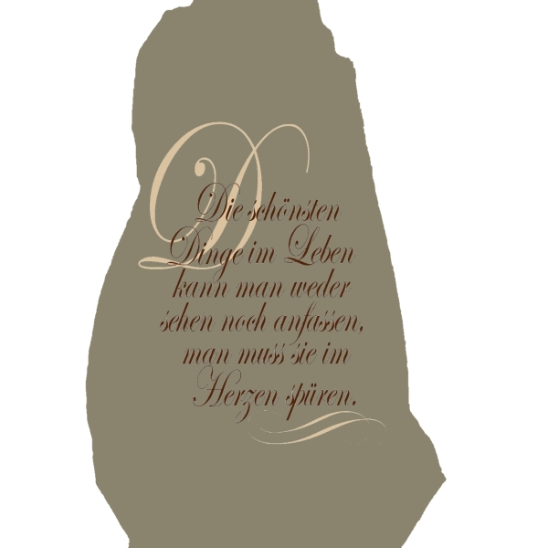 Videx® Pflanzen-Winterschutz-Vlieshaube 