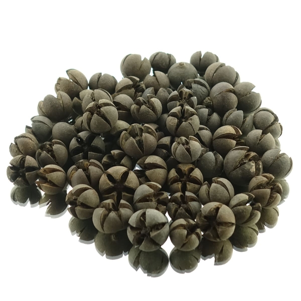 Weihnachtsdeko Feuerdorn Fruchtkapseln Ø 2-3 cm - 200 Gramm