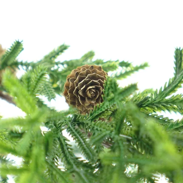 Weihnachtsdeko Koniferenzweig Grün mit kleinen Zapfen 44 cm - Kunstblumen