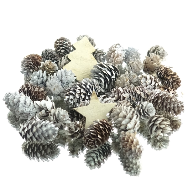 Weihnachtsdeko Mini-Zapfen beschneit mit 2 Dekoelementen aus Holz