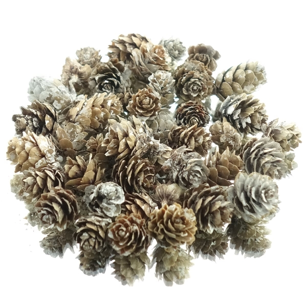 Weihnachtsdeko Mini-Zapfen Natur beschneit- 48 g
