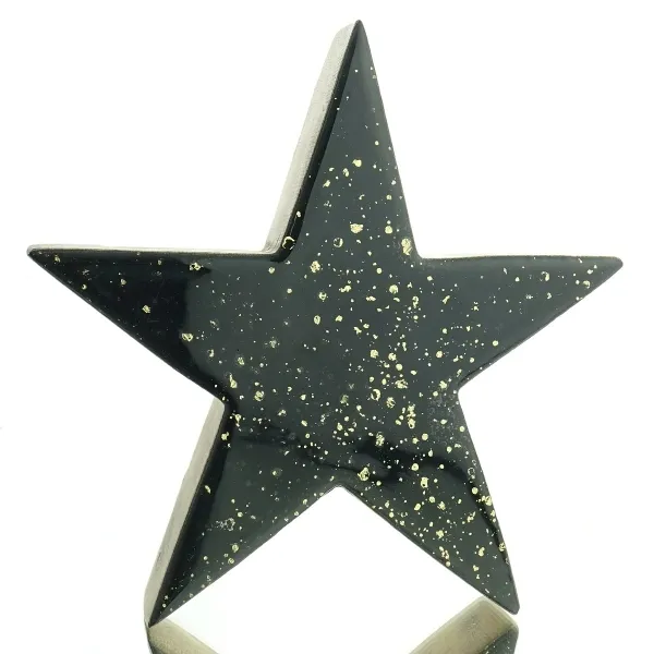 Weihnachtsdeko Stern Schwarz & Gold 19 x 19 cm aus Holz