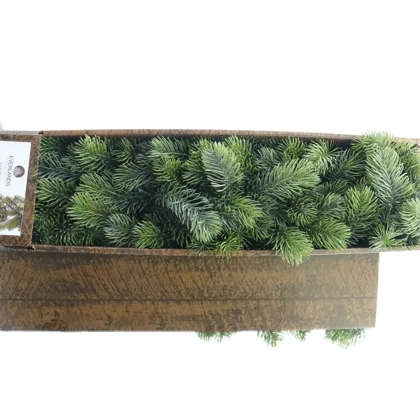 Weihnachtsgirlande mit Batterie LED Lichterkette 35 Lichter warmweiß