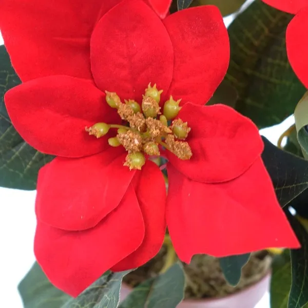 Weihnachtsstern Rot im braunen Topf Ø 30 - Kunstblumen