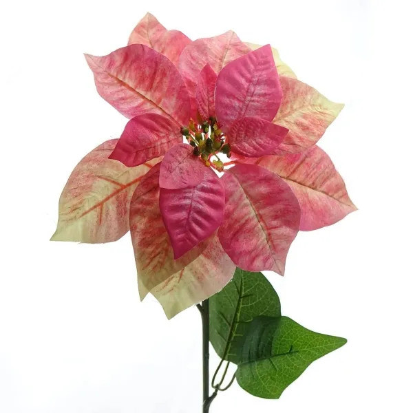 Weihnachtssternblüte Poinsettie Creme & Rosa 65 cm - Kunstblumen