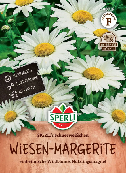 Wiesen-Margeriten SPERLI's Schneeweißchen - Blumensamen