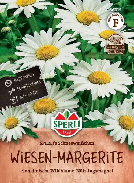 Wiesen-Margeriten SPERLIs Schneeweißchen - Blumensamen Wiesen-Margeriten SPERLIs Schneeweißchen - Blumensamen