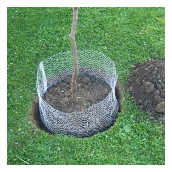 Wühlmauskorb verzinkt 60 cm ausfaltbar