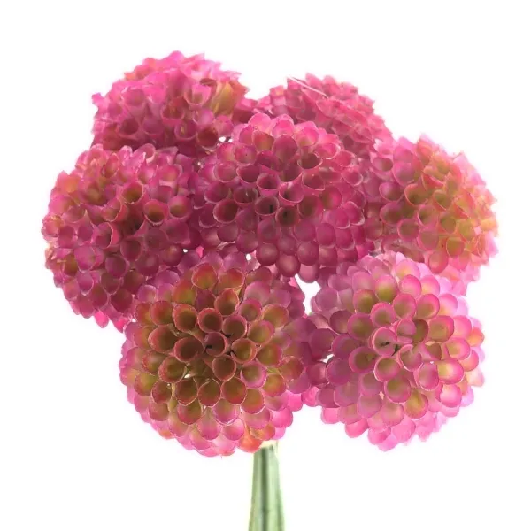 Zwergdahlien Purpur mit Farbverlauf Ø 4,8 cm im 7er Bund - Kunstblumen