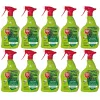 PROTECT GARDEN Lizetan® Buchsbaumzünslerfrei AF anwendungsfertig - 1 Liter x 10