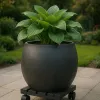 Esschert Design Pflanzenroller Outdoor quadratisch 28 x 28 cm - WPC