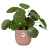 elho® Vibes Übertopf Fold Zartrosa Ø 25 cm - Kunststoff
