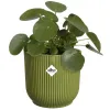 elho® Vibes Übertopf Fold Farngrün Ø 25 cm - Kunststoff