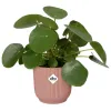 elho® Vibes Übertopf Fold Zartrosa Ø 30 cm - Kunststoff