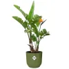 elho® Vibes Übertopf Fold Farngrün Ø 47 cm - Kunststoff