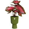 elho® Vibes Übertopf Fold Cup Farngrün Ø 14 cm - Kunststoff