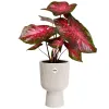 elho® Vibes Übertopf Fold Cup Leinenweiß Ø 30 cm - Kunststoff