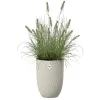 elho® Sereh Pflanzgefäß Hoch Mushroom beige Ø 30 cm - Kunststoff
