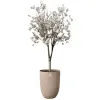 elho® Sereh Pflanzgefäß Hoch Cool Clay braun Ø 39 cm - Kunststoff