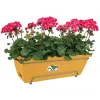 elho® Barcelona Balkonkasten Honiggelb 50 cm all-in-1 mit Halterung