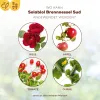 3 x Solabiol® Brennnessel Sud für schädlingsanfällige Pflanzen 1 Liter Konzentrat Artikel EAN 3664715000334