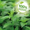 3 x Solabiol® Brennnessel Sud für schädlingsanfällige Pflanzen 1 Liter Konzentrat Artikel EAN 3664715000334