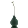 Bonsai Gießbrause (Ballbrause) Pro Grün mit langem Hals - 250 ml
