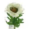 DEKO® FLORALE Anemone Creme 38 cm - Kunstblumen