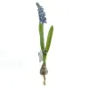 DEKO® FLORALE Traubenhyazinthe - Muscari Blau mit Zwiebel - Kunstblumen