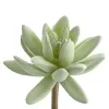 DPI Agaven - Sukkulenten Set zum Stecken 5 teilig - Kunstpflanzen