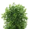 DPI Buchsbaumkranz Grün Ø 18 cm - Kunstpflanzen
