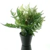 DPI Farn im grauen Kunststofftopf 32 cm - Kunstblumen
