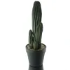 DPI Kakteengruppe im Kunststofftopf 40 cm - Kunstblumen