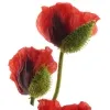 DPI Mohnblumen Rot mit dunklen Flecken 65 cm im 3er Bund - Kunstblumen