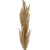 DPI Pampas-Wedel Hellpink - Rosé 93 cm - Kunstblumen