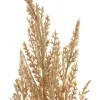 DPI Pampas-Wedel Hellpink - Rosé 93 cm - Kunstblumen
