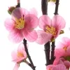 DPI Prunuszweig Pink 80 cm - Kunstblumen