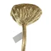 DPI Weihnachtsdeko Lotus Fruchtstand Goldfarben 75 cm - Kunstblumen