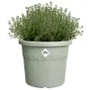 elho® Algarve Pflanzkübel Cilindro Thymiangrün Ø 25 cm - Kunststoff