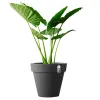 elho® Pure Round Pflanzgefäß Anthrazit Ø 39 cm - Kunststoff