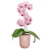 elho® Vibes Übertopf Fold Orchidee hoch Rosa transparent Ø 13,2 cm - Kunststoff